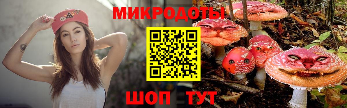Псилоцибиновые грибы MAGIC MUSHROOMS  Вход с VPN  Анапа  Псилоцибиновые грибы ЛСД 